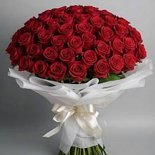 Букет 101 Красная роза Блэк Мэджик в Жуковке