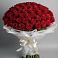 Букет 101 Красная роза Блэк Мэджик в Жуковке