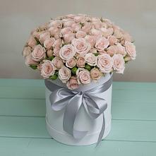 Цветочная композиция из Розы в шляпной коробке #REPLACE_PRED# Жуковке