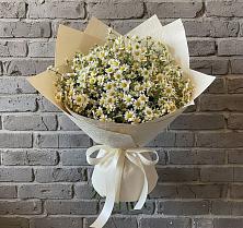 Букет цветов из:  Ромашки #REPLACE_PRED# Жуковке
