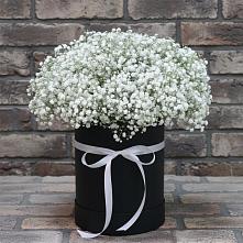 Цветочная композиция из Гипсофила в шляпной коробке в Жуковке